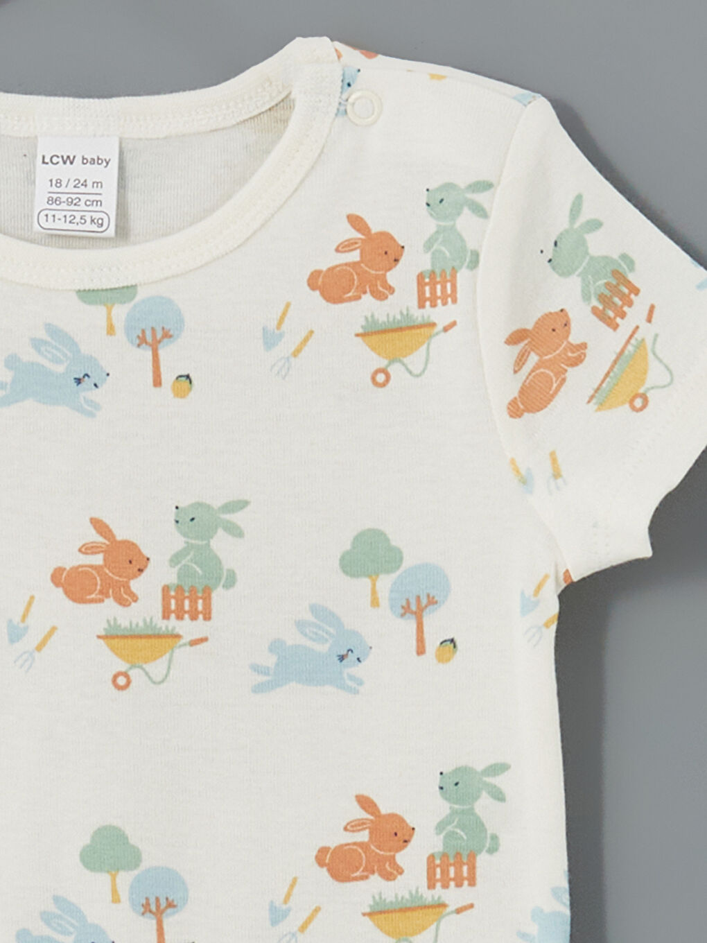 Baby Boy Snap Bodysuit 2 Piece Set -S5DL38Z1-FTU