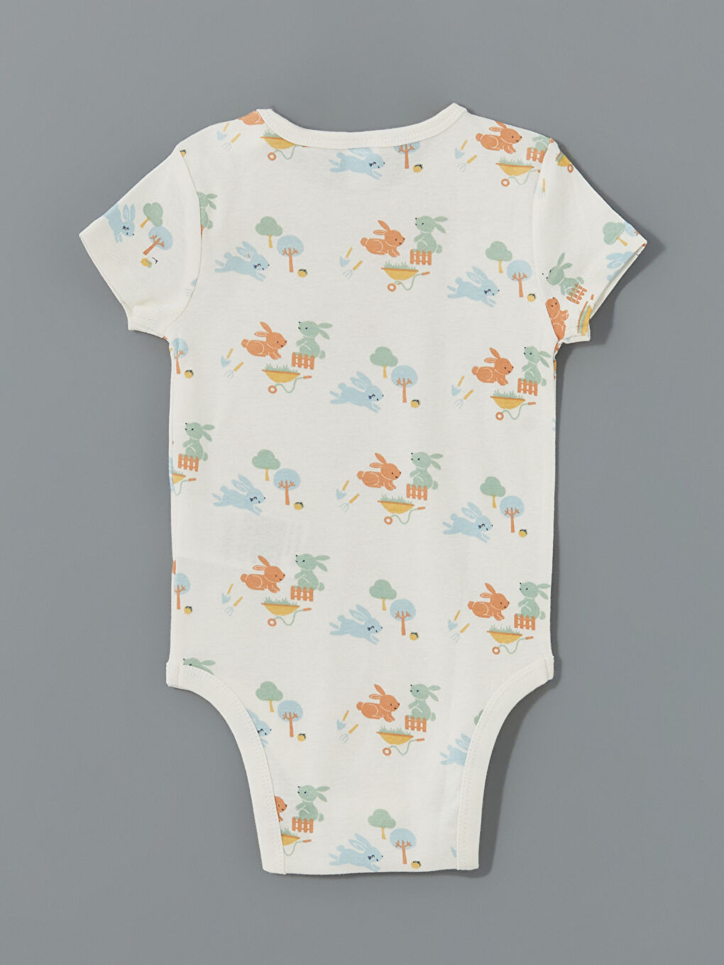 Baby Boy Snap Bodysuit 2 Piece Set -S5DL38Z1-FTU