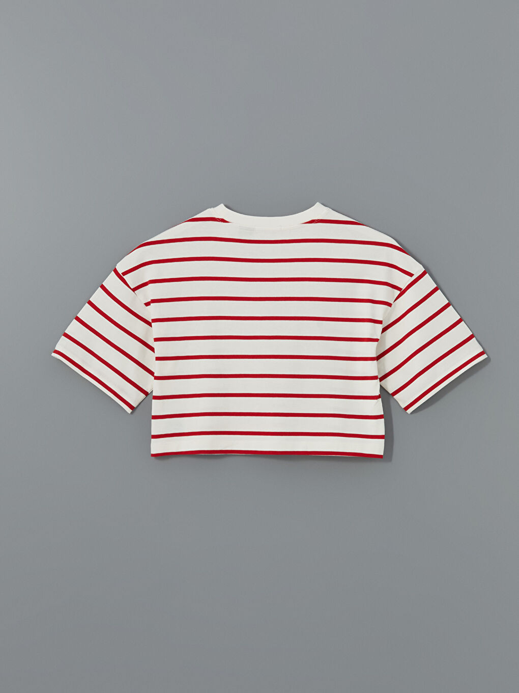 Crew Neck Mickey Mouse Embroidered Women's Crop Top -S5DO23Z8-LJE