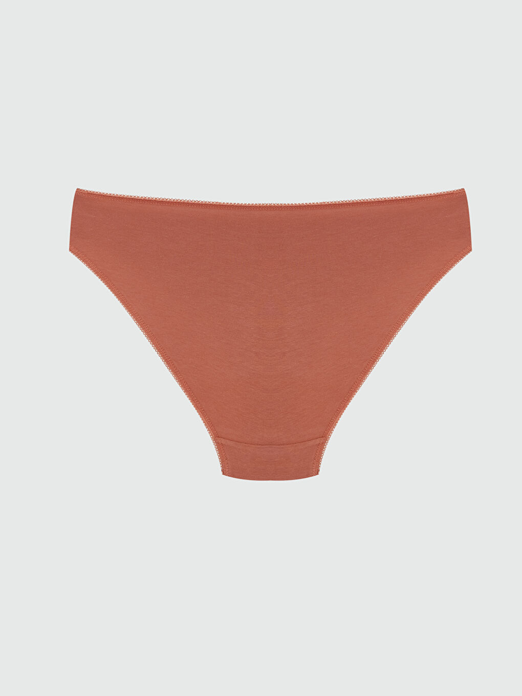 Kahverengi Düz Bikini Külot-1