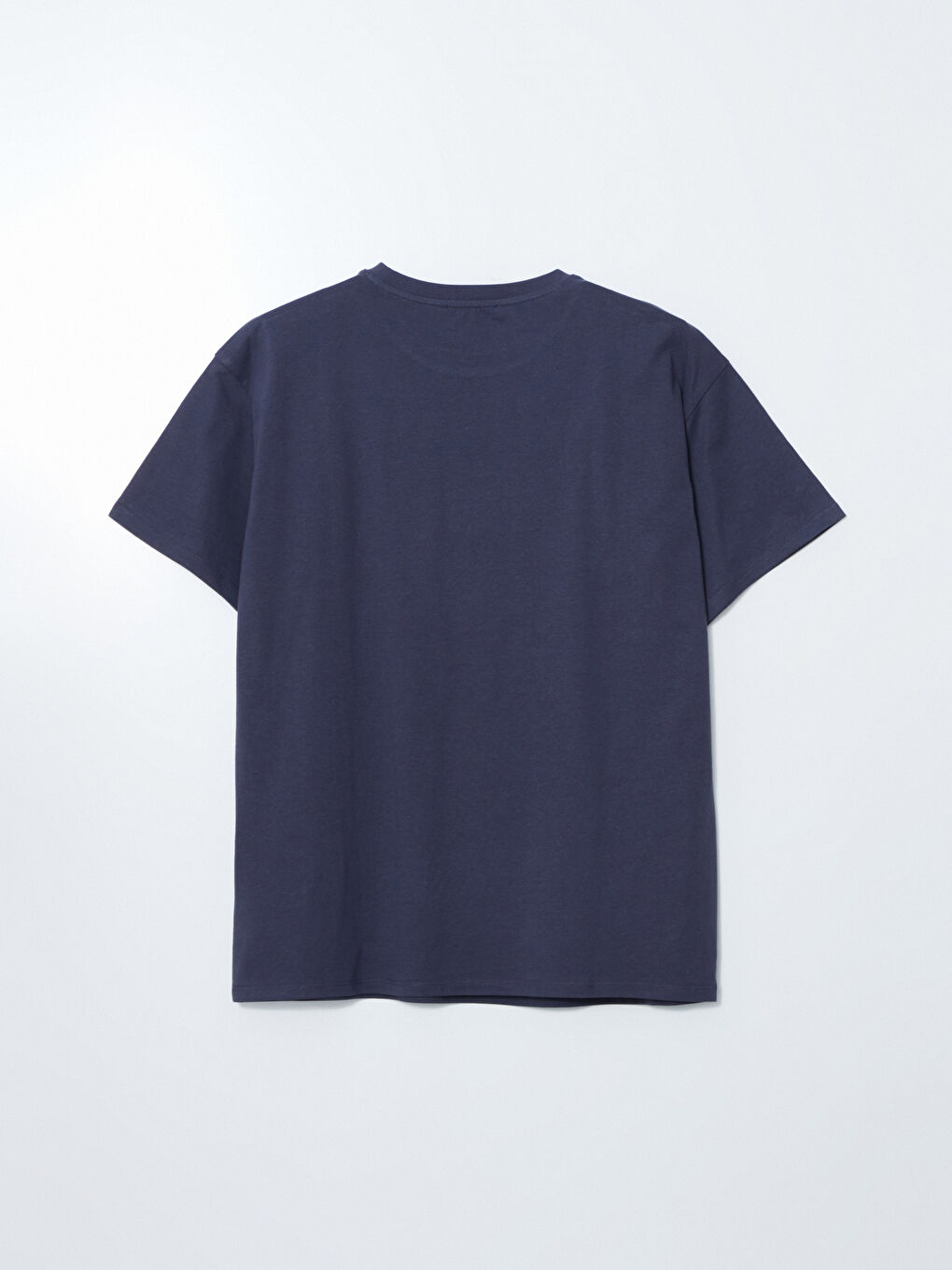 LCW Modest Bisiklet Yaka Baskılı Oversize Kadın Tişört -S5EC92Z8-HQ3