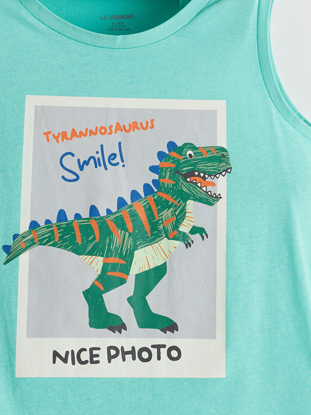 Dinosaur Printed Boys' Tank Top 2-Pack -S5EE45Z1-G3E