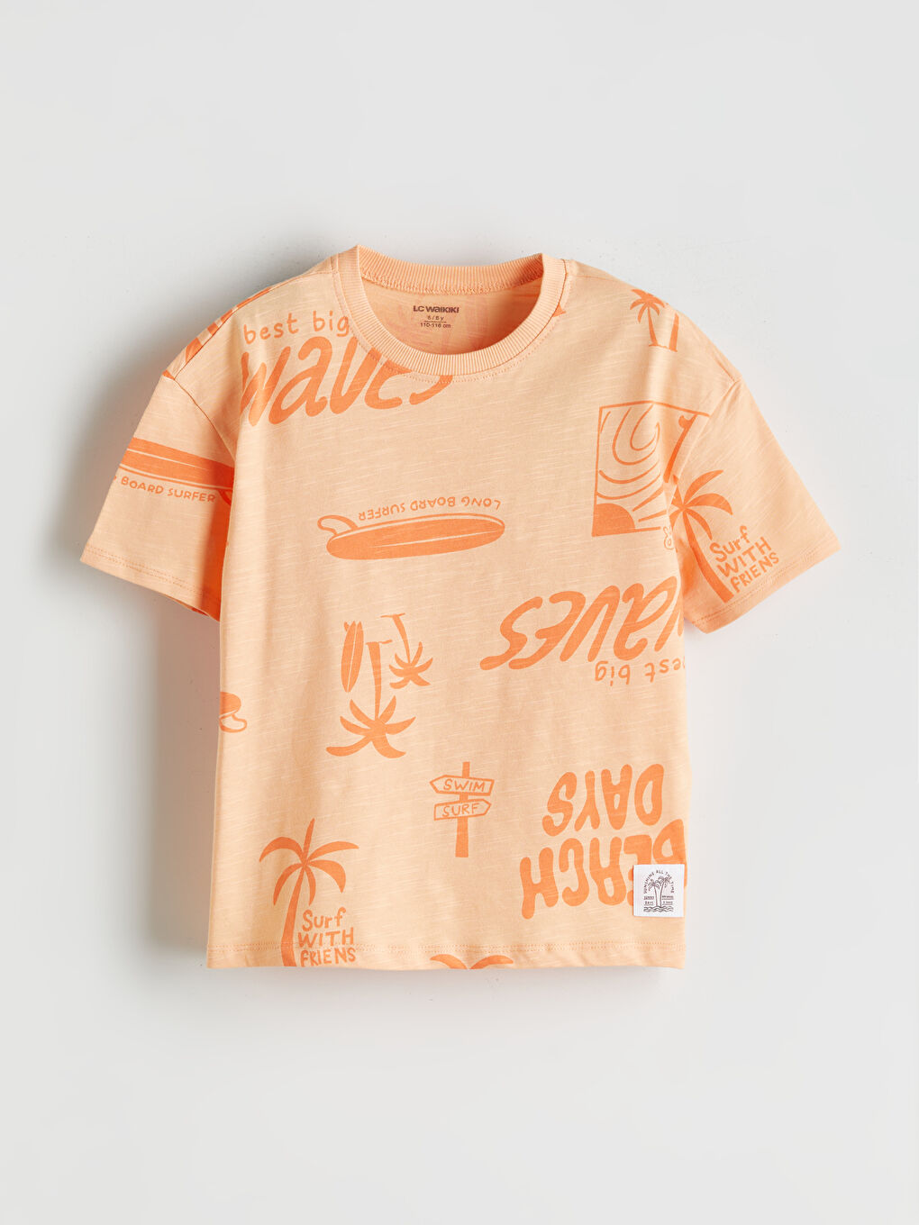 Crew Neck Printed Boys' T-Shirt -S5EG89Z1-LSL