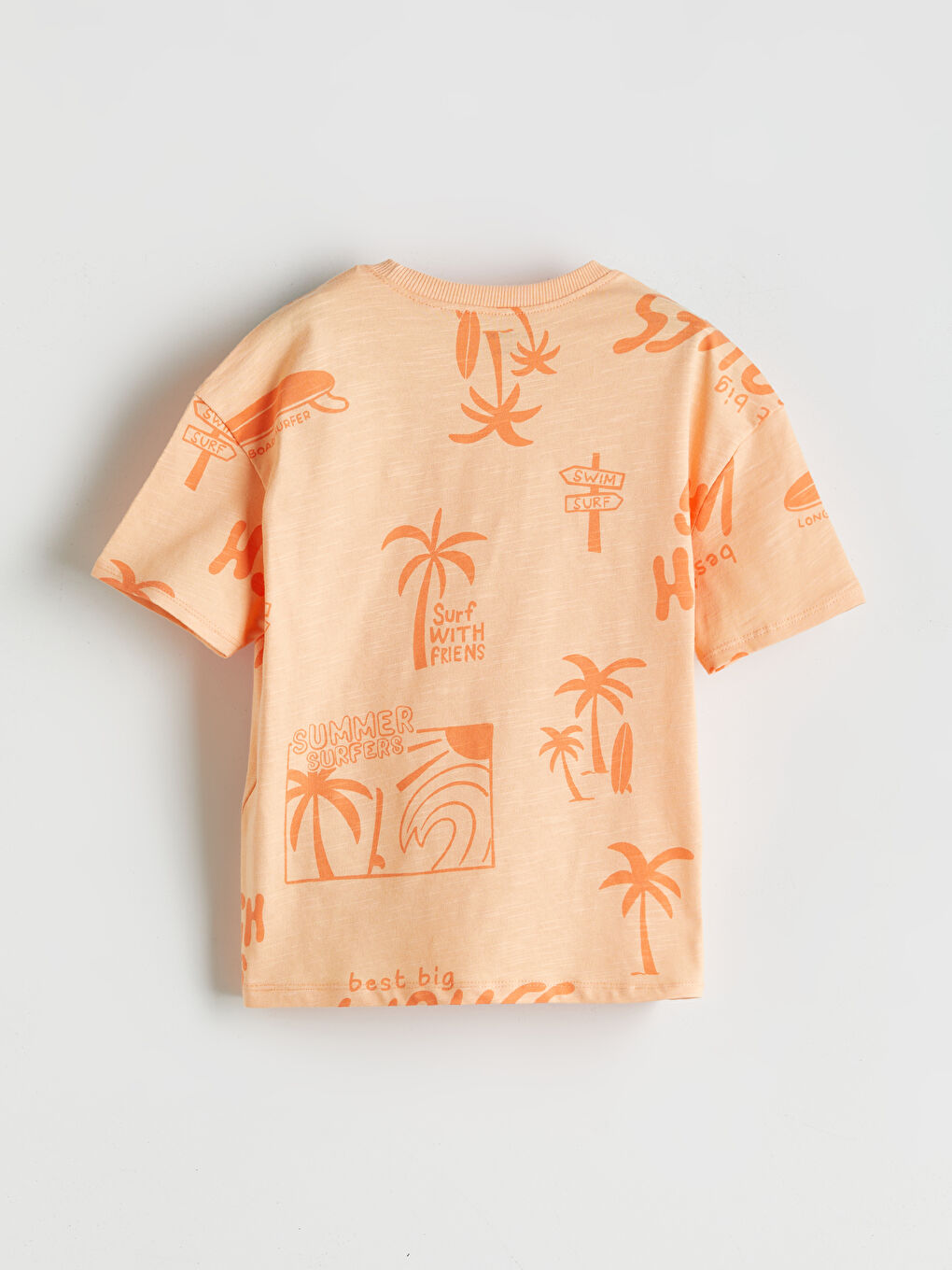 Crew Neck Printed Boys' T-Shirt -S5EG89Z1-LSL