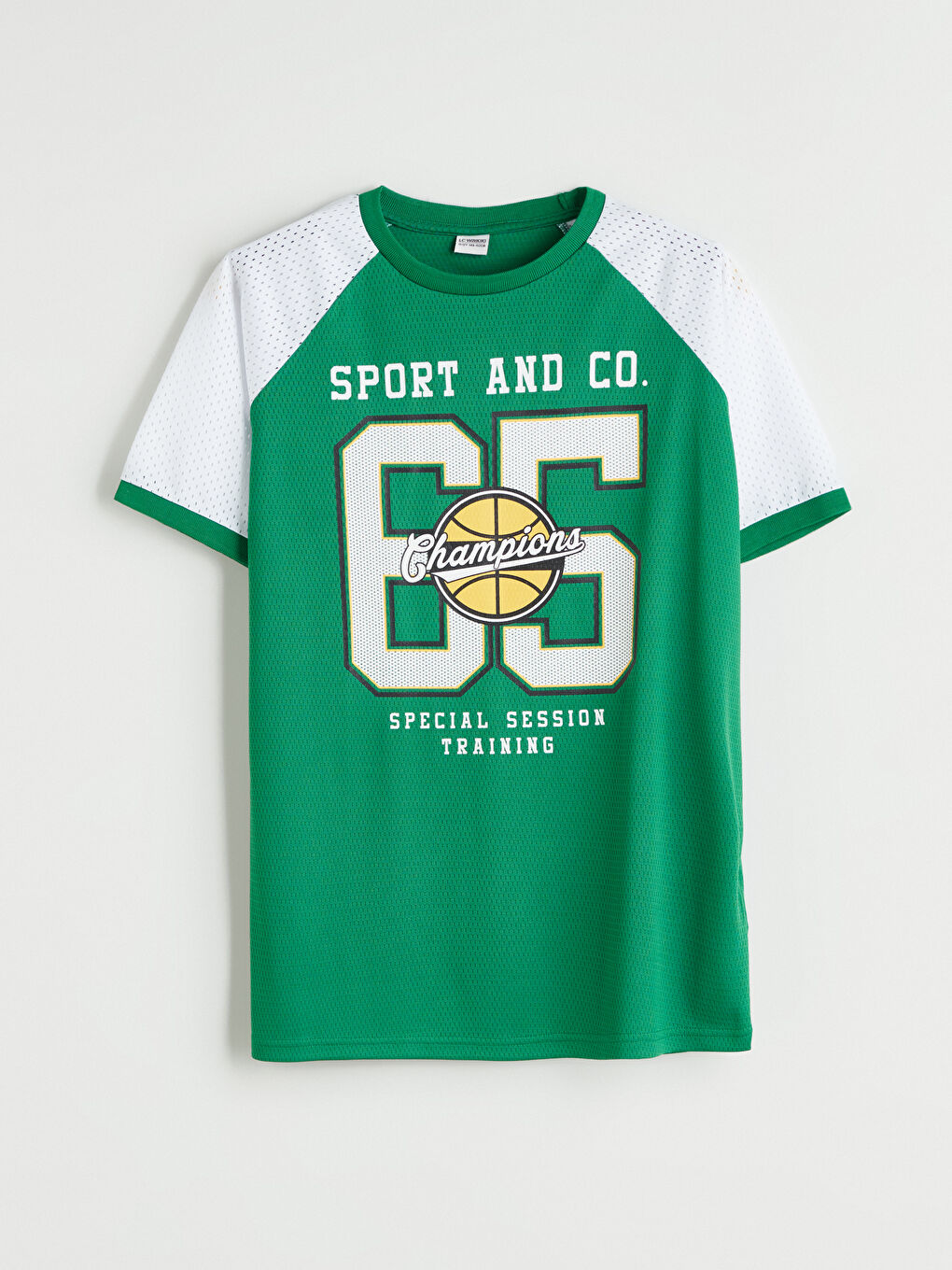 LC Waikiki Crew Neck Boys' T-Shirt -S5EK88Z4-HQH