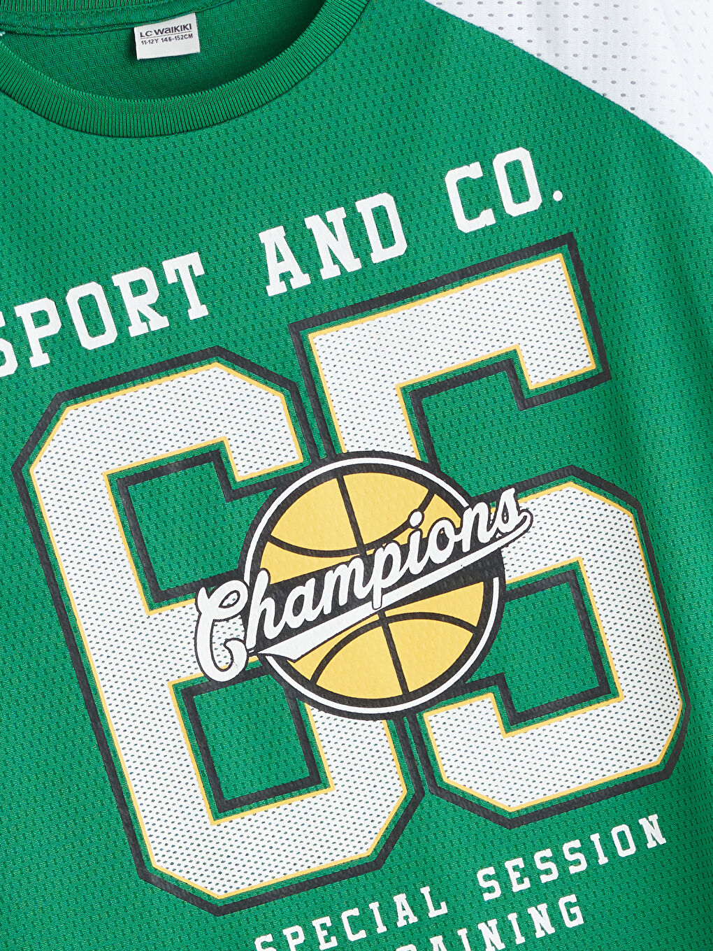 LC Waikiki Crew Neck Boys' T-Shirt -S5EK88Z4-HQH