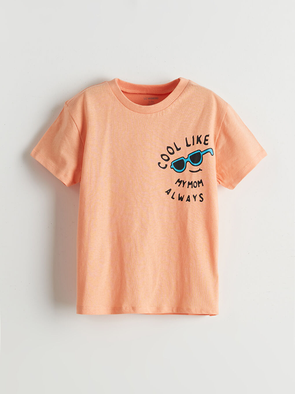 Crew Neck Printed Boys' T-Shirt -S5EO22Z1-G6Y