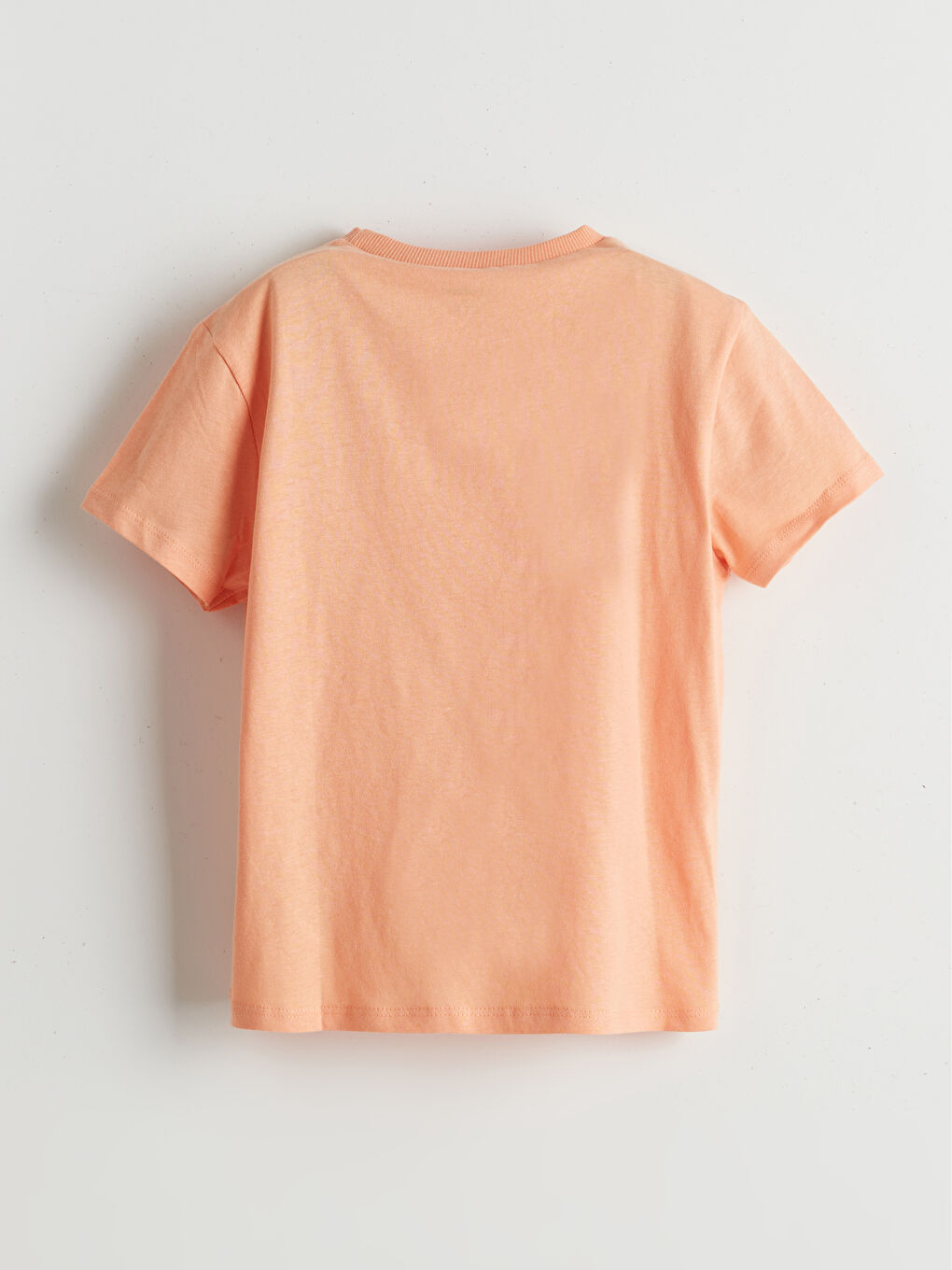Crew Neck Printed Boys' T-Shirt -S5EO22Z1-G6Y