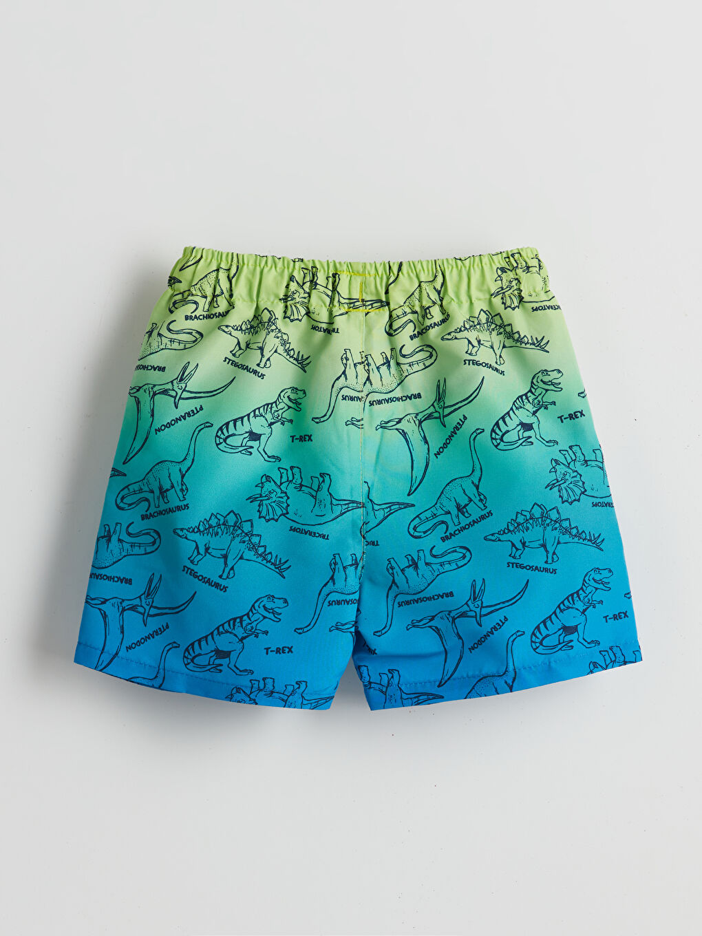 Elastic Waist Printed Boy’S Swim Shorts -S5ER42Z1-LQQ