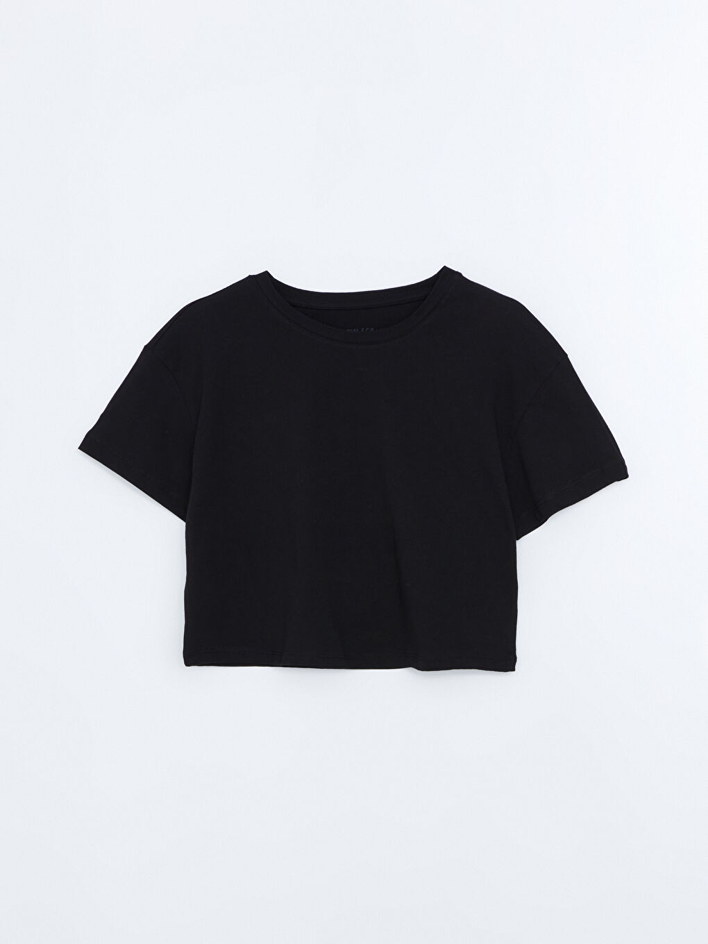 Crew Neck Women's Crop -S5EV13Z8-CVL