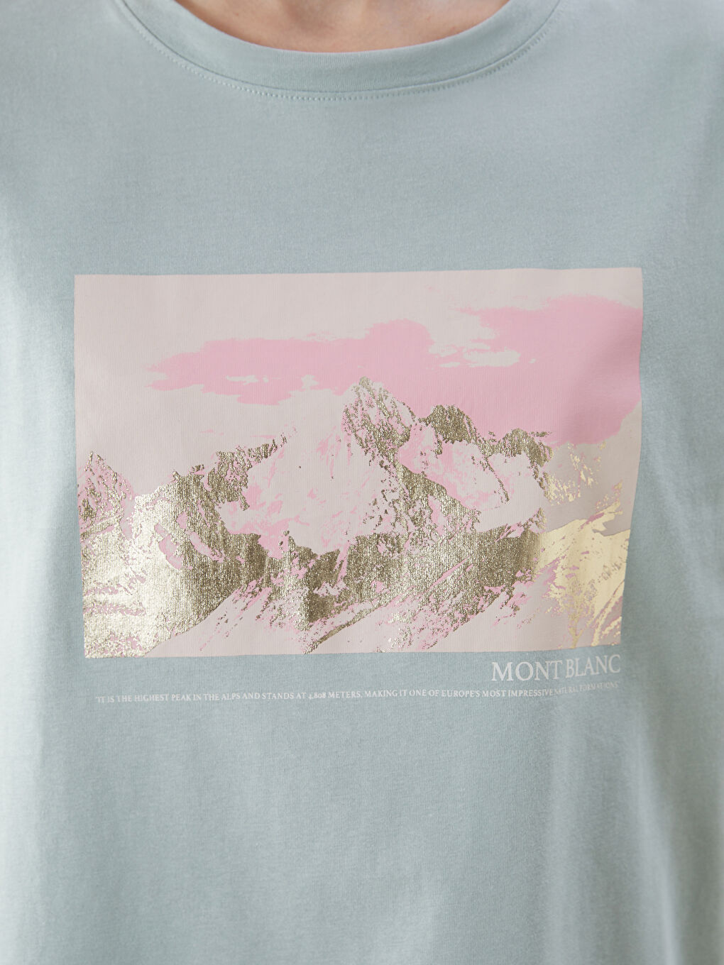 LCW Comfort Crew Neck Mont Blanc Printed Women's T-Shirt -S5EY21Z8-FLL