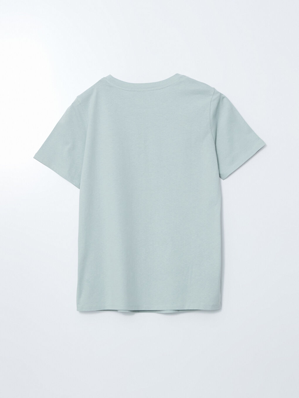 LCW Comfort Crew Neck Mont Blanc Printed Women's T-Shirt -S5EY21Z8-FLL