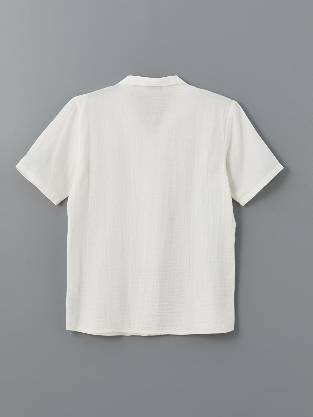 Standard Fit Short Sleeve Men's Shirt -S5FB74Z8-R9J