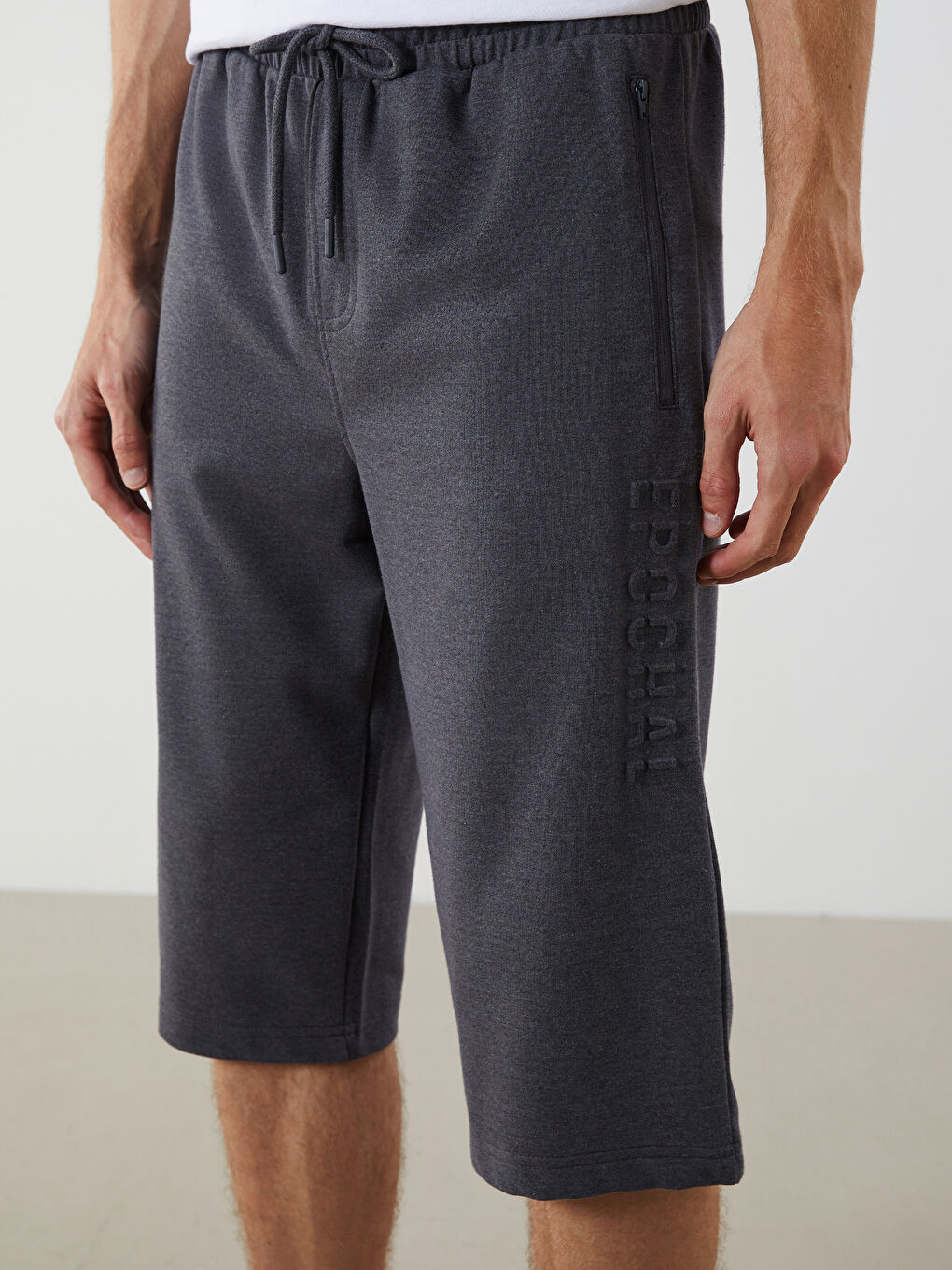 Antrasit Standart Kalıp Erkek Şort-2