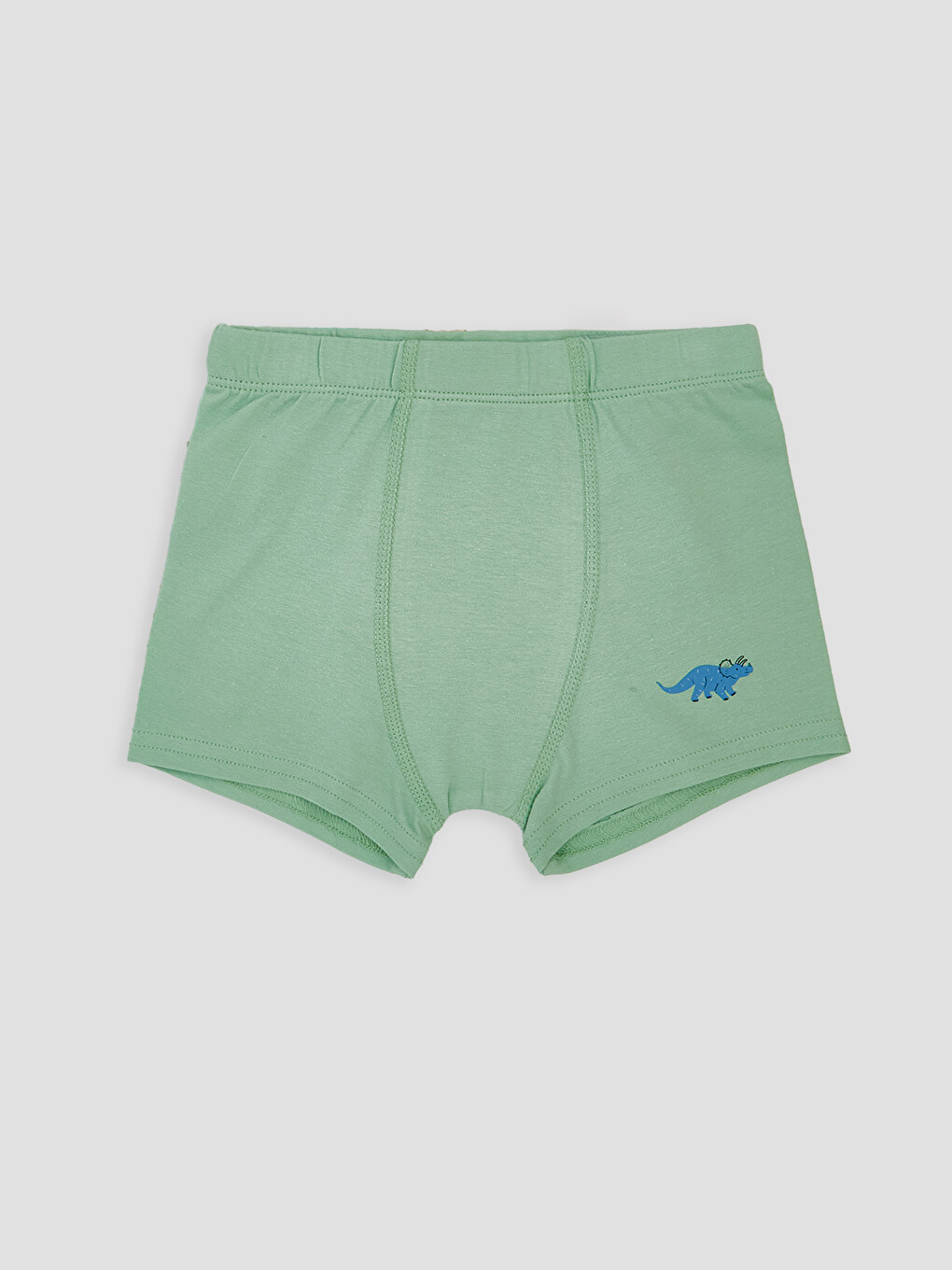 Mavi Dinozor Nakışlı Erkek Çocuk Boxer