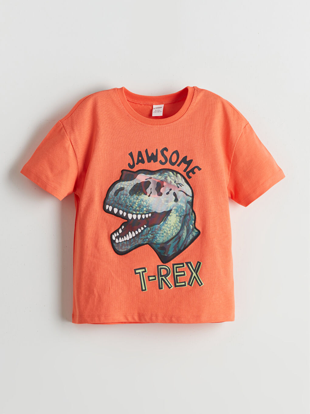 Mercan Dinozor Baskılı Penye Erkek Çocuk Tişört