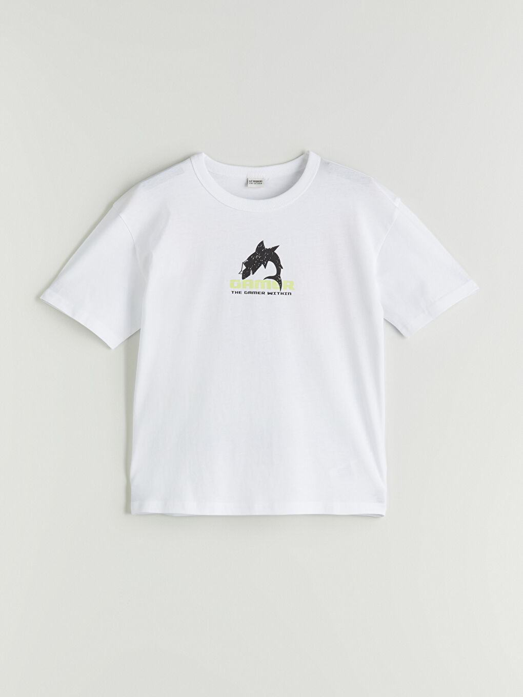 LC Waikiki Crew Neck Boys' T-Shirt -S5H038Z4-Q6K