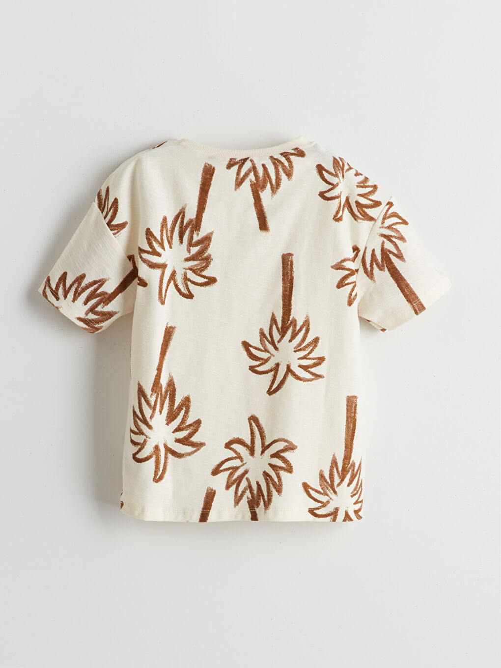 LCW Kids Resort Neck Printed Boys' T-Shirt -S5H456Z1-LQA