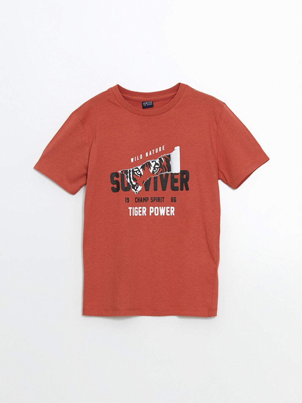 Kahverengi Bisiklet Yaka Erkek Çocuk Tişört