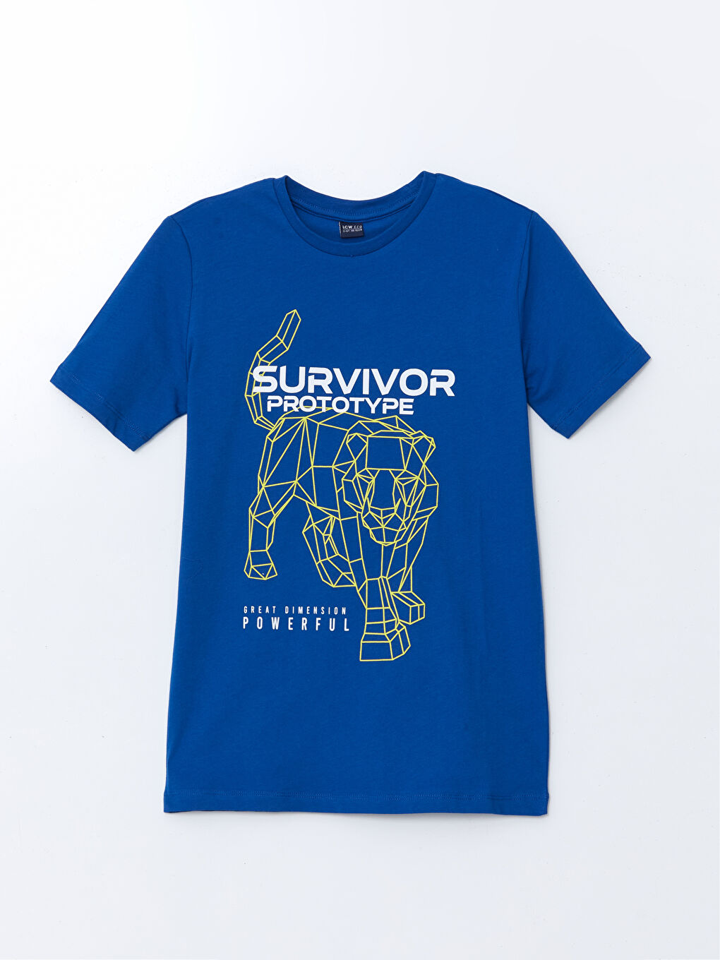 Mavi Bisiklet Yaka Erkek Çocuk Tişört