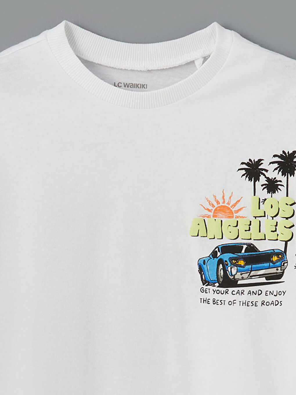 LCW Kids Crew Neck Printed Boys' T-Shirt -S5HF12Z1-Q6K