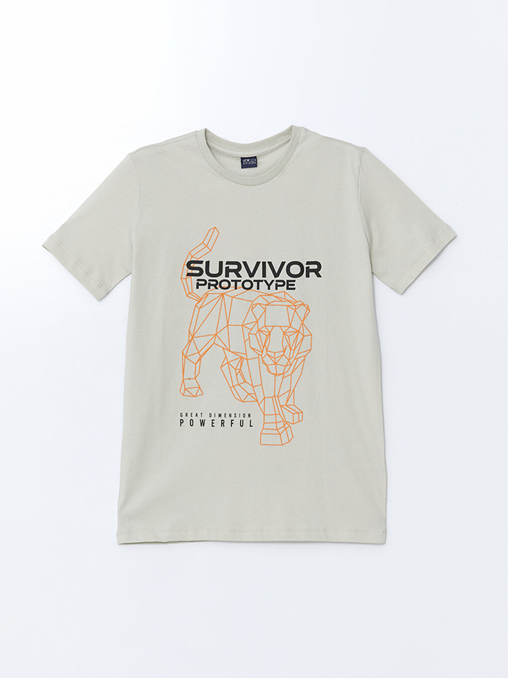 Crew Neck Printed Boy's T-Shirt -S5HF21Z4-G5V
