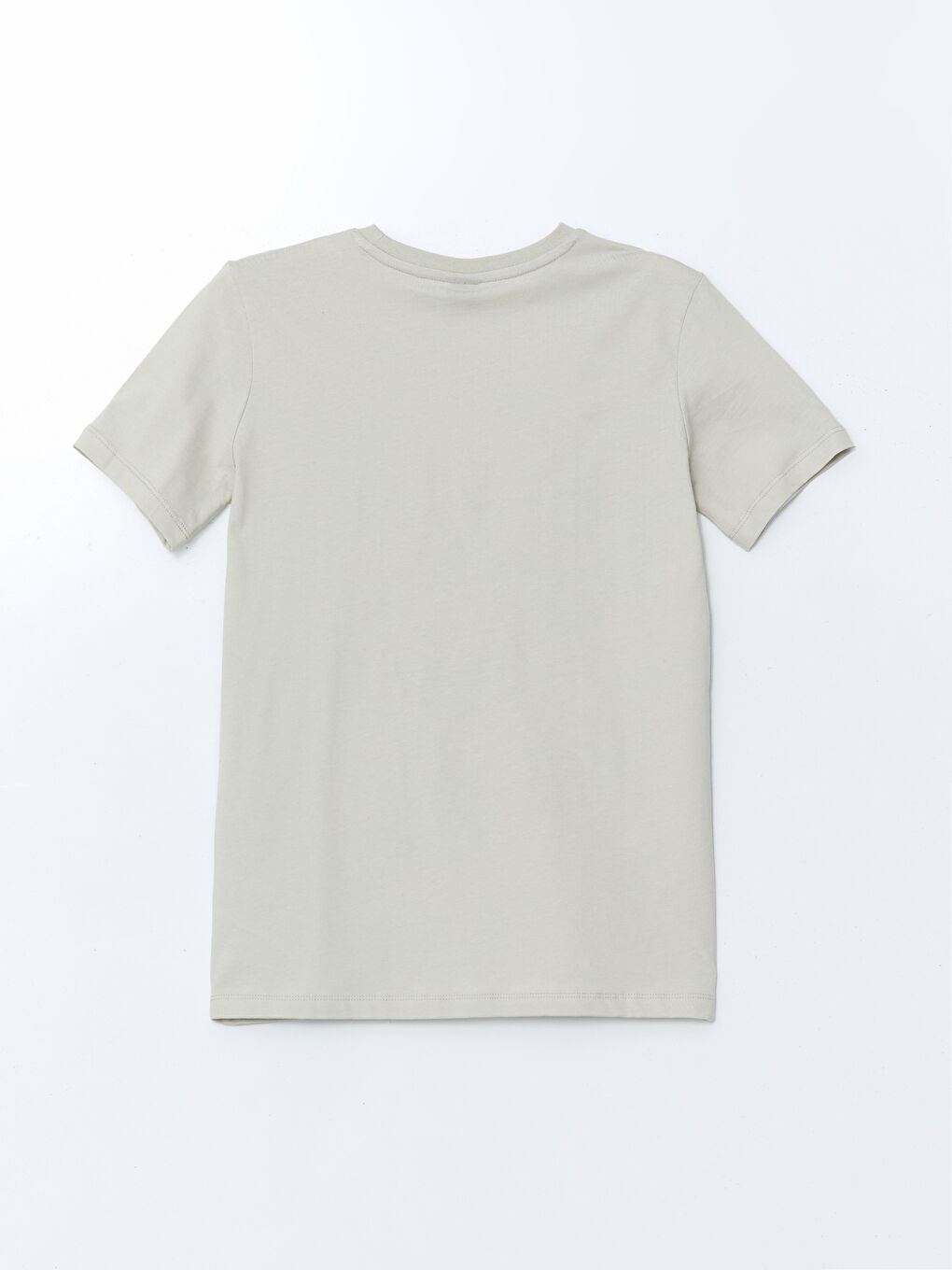 Crew Neck Printed Boy's T-Shirt -S5HF21Z4-G5V