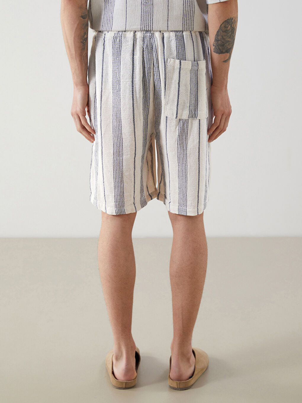 Standard Fit Striped Men's Shorts-3