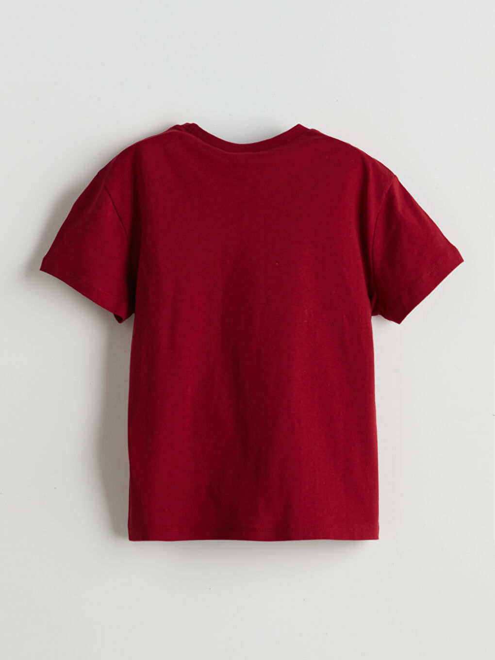 Bordo Dinozor Baskılı Erkek Çocuk Tişörtü-1