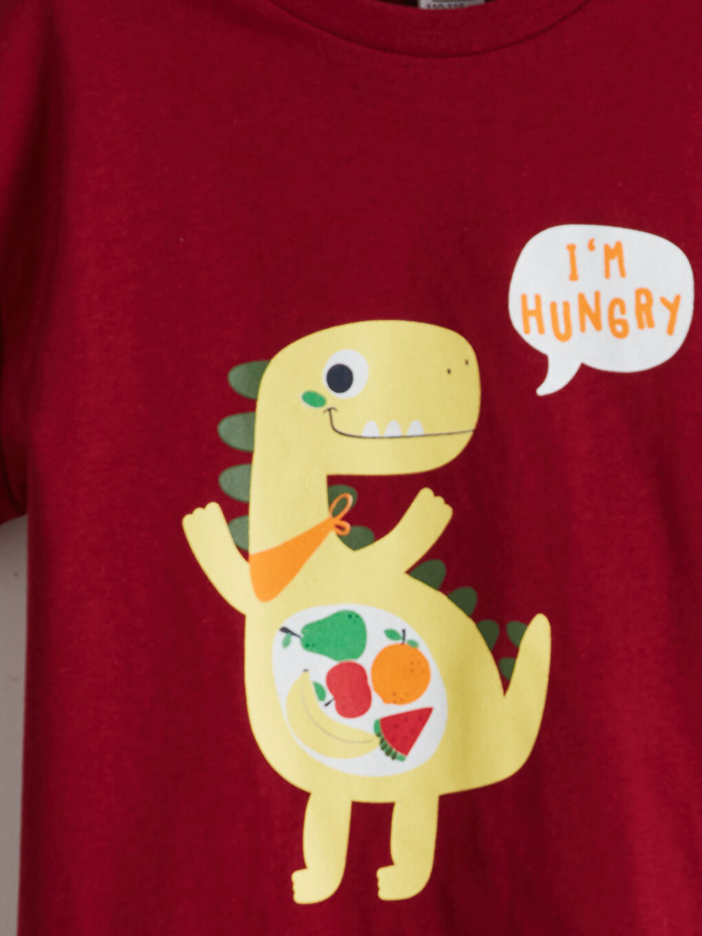 Bordo Dinozor Baskılı Erkek Çocuk Tişörtü-2