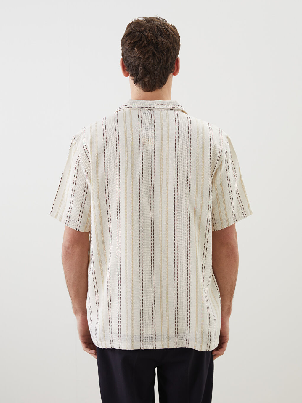 Regular Fit Short Sleeve Striped Men's Shirt-7