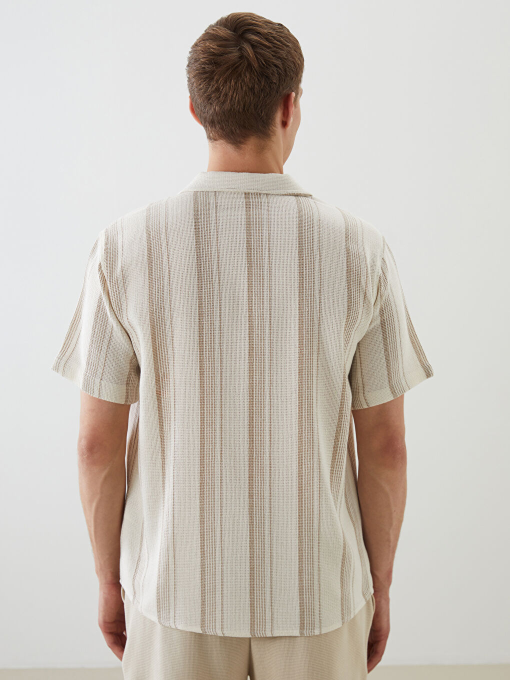 Regular Fit Short Sleeve Striped Men's Shirt-6