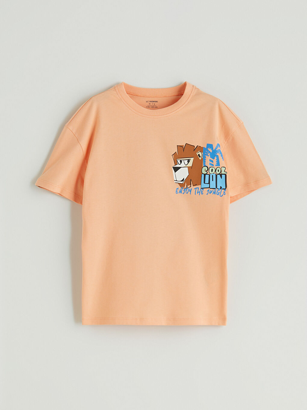 LCW Kids Crew Neck Printed Boys' T-Shirt -S5HJ13Z1-G6Y