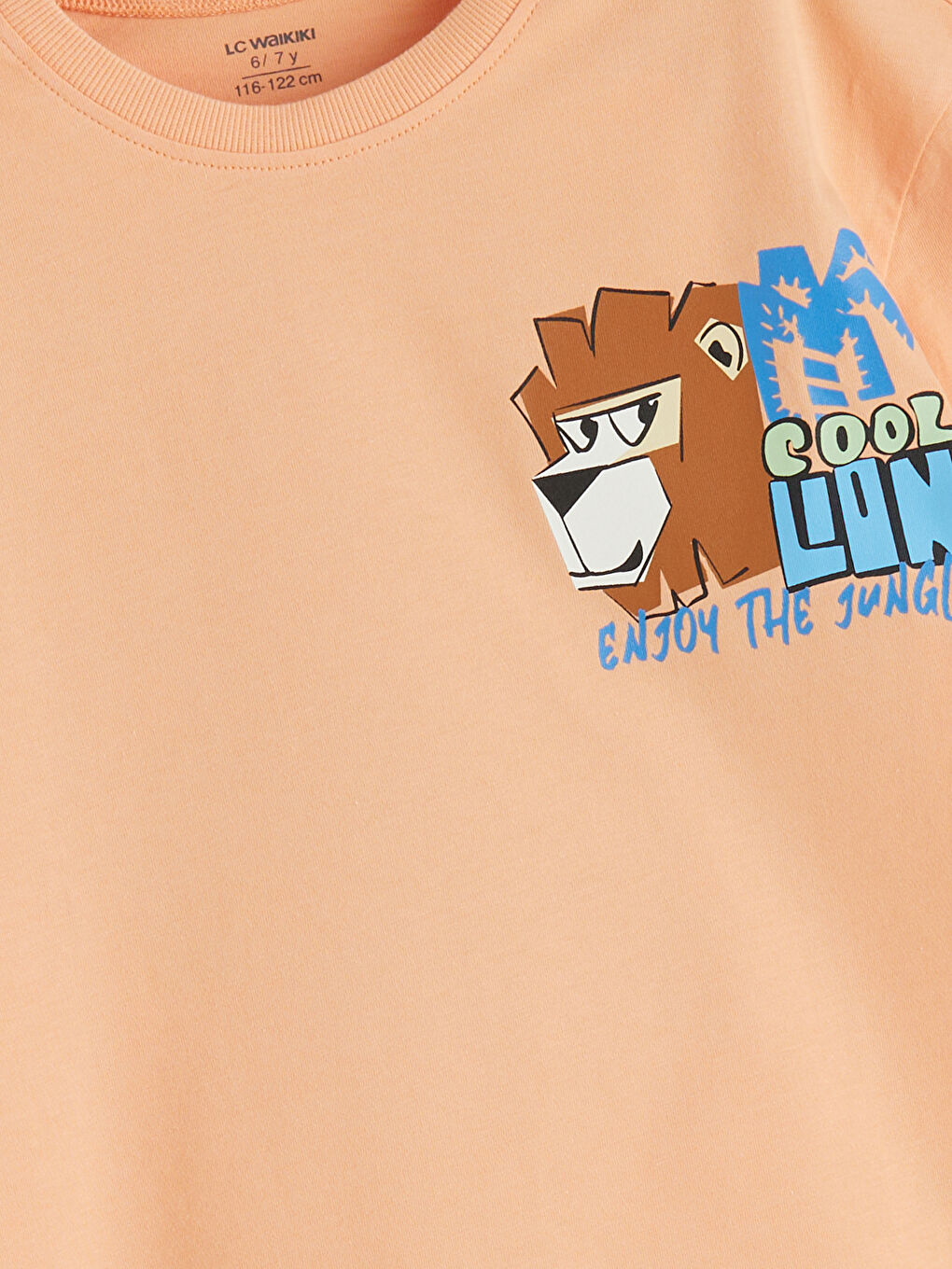LCW Kids Crew Neck Printed Boys' T-Shirt -S5HJ13Z1-G6Y