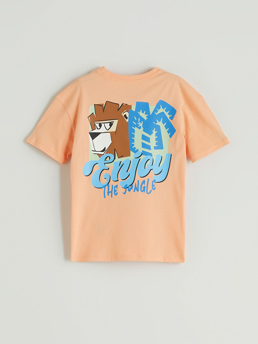 LCW Kids Crew Neck Printed Boys' T-Shirt -S5HJ13Z1-G6Y