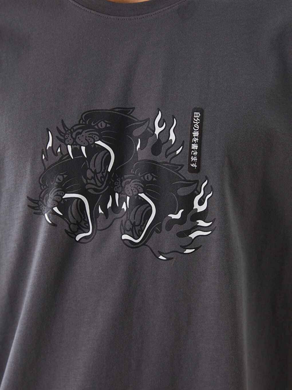 XSIDE Crew Neck Printed Jersey Men's T-Shirt -S5HK02Z8-YAN