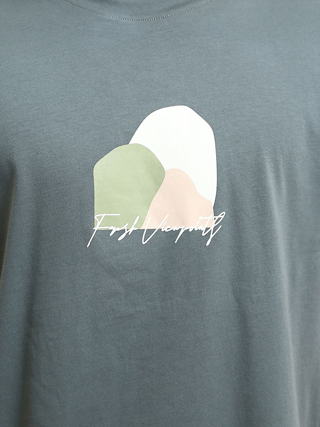 Crew Neck Printed Men's T-Shirt-2