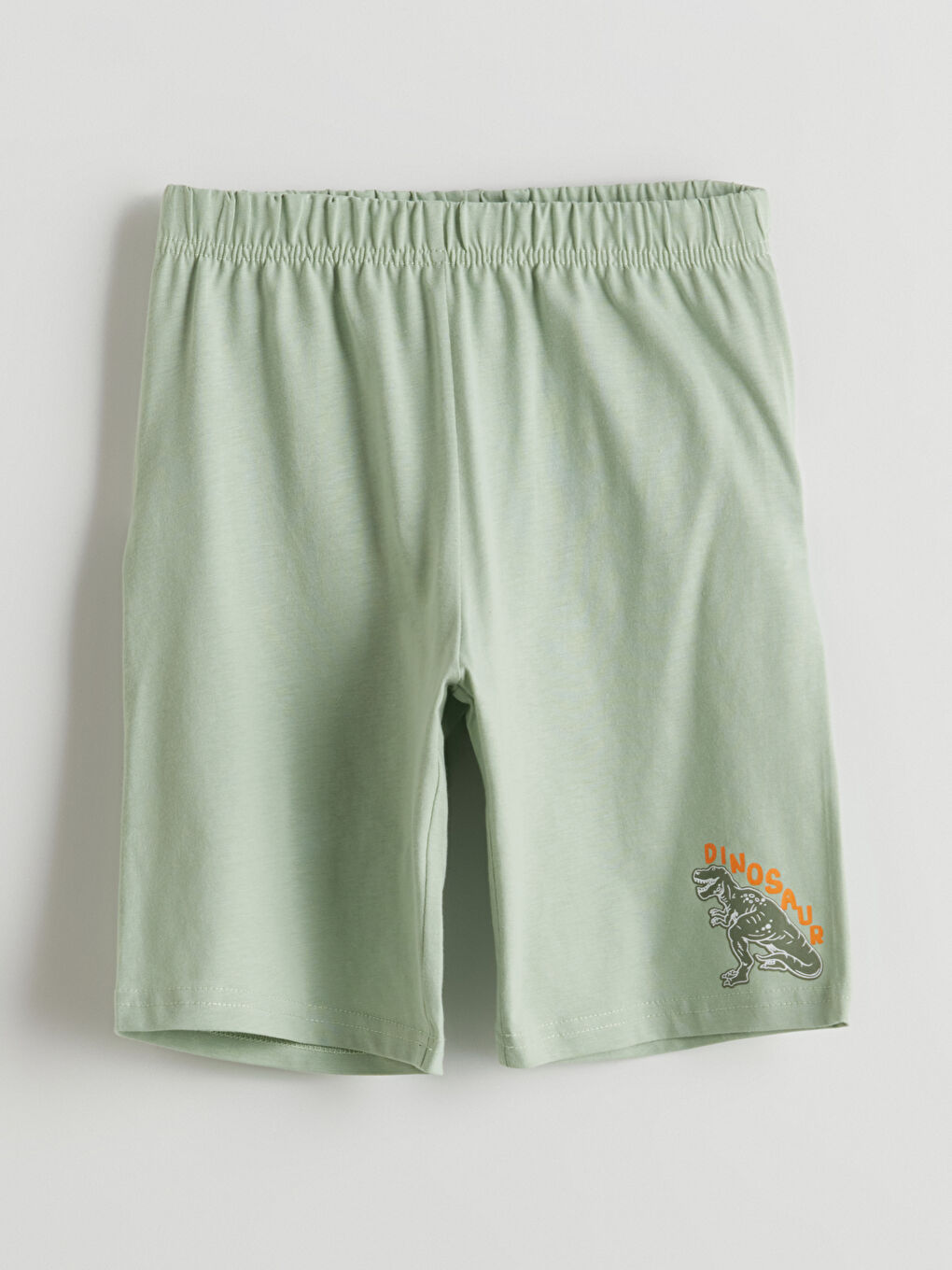 Elastic Waist Basic Boy Shorts 2 Pieces -S5HM37Z1-FKS