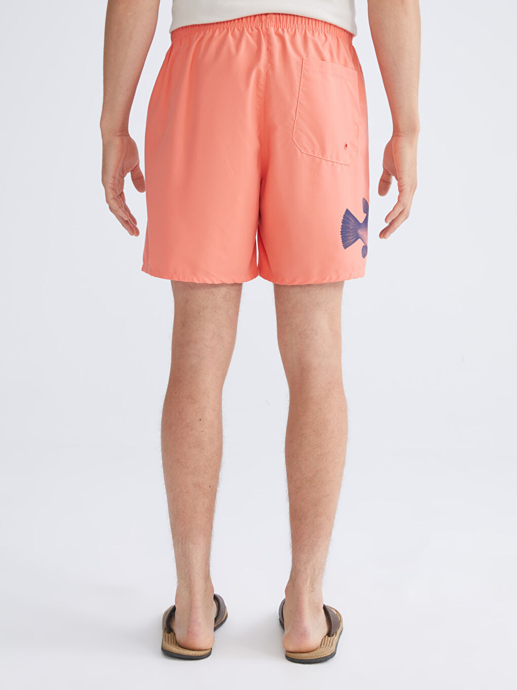 Mercan Kısa Boy Sünger Bob Baskılı Erkek Deniz Şortu-3