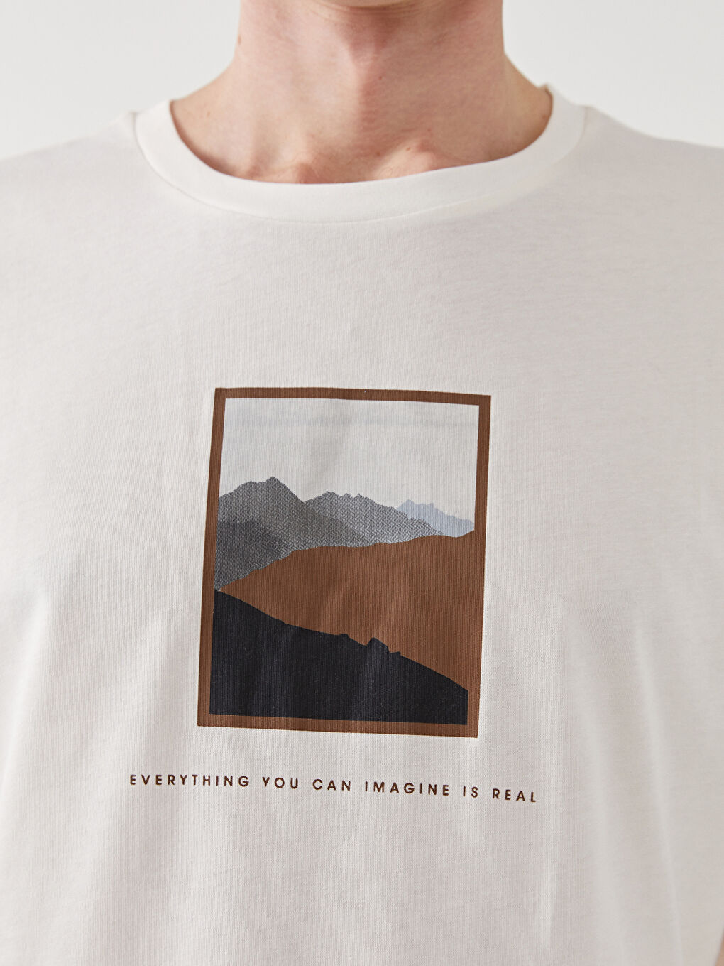 Gri Bisiklet Yaka Kısa Kollu Baskılı Penye Erkek Tişört-2