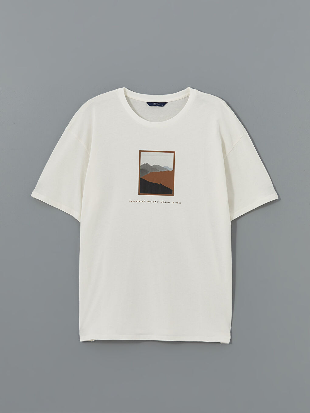 Gri Bisiklet Yaka Kısa Kollu Baskılı Penye Erkek Tişört-4