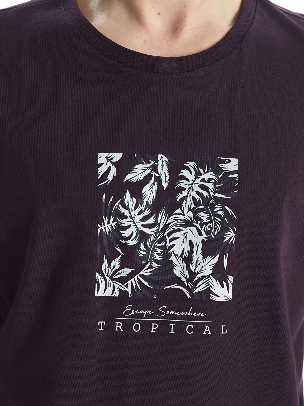Crew Neck Short Sleeve Printed Combed Cotton Men's T-shirt-2