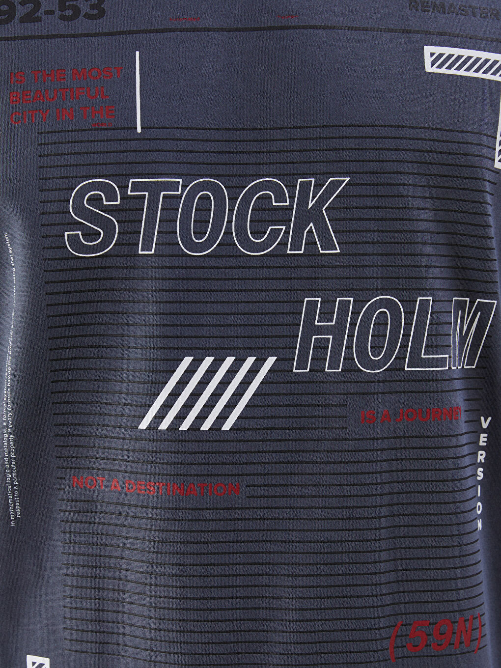 Antrasit Bisiklet Yaka Kısa Kollu Baskılı Penye Erkek Tişört-2