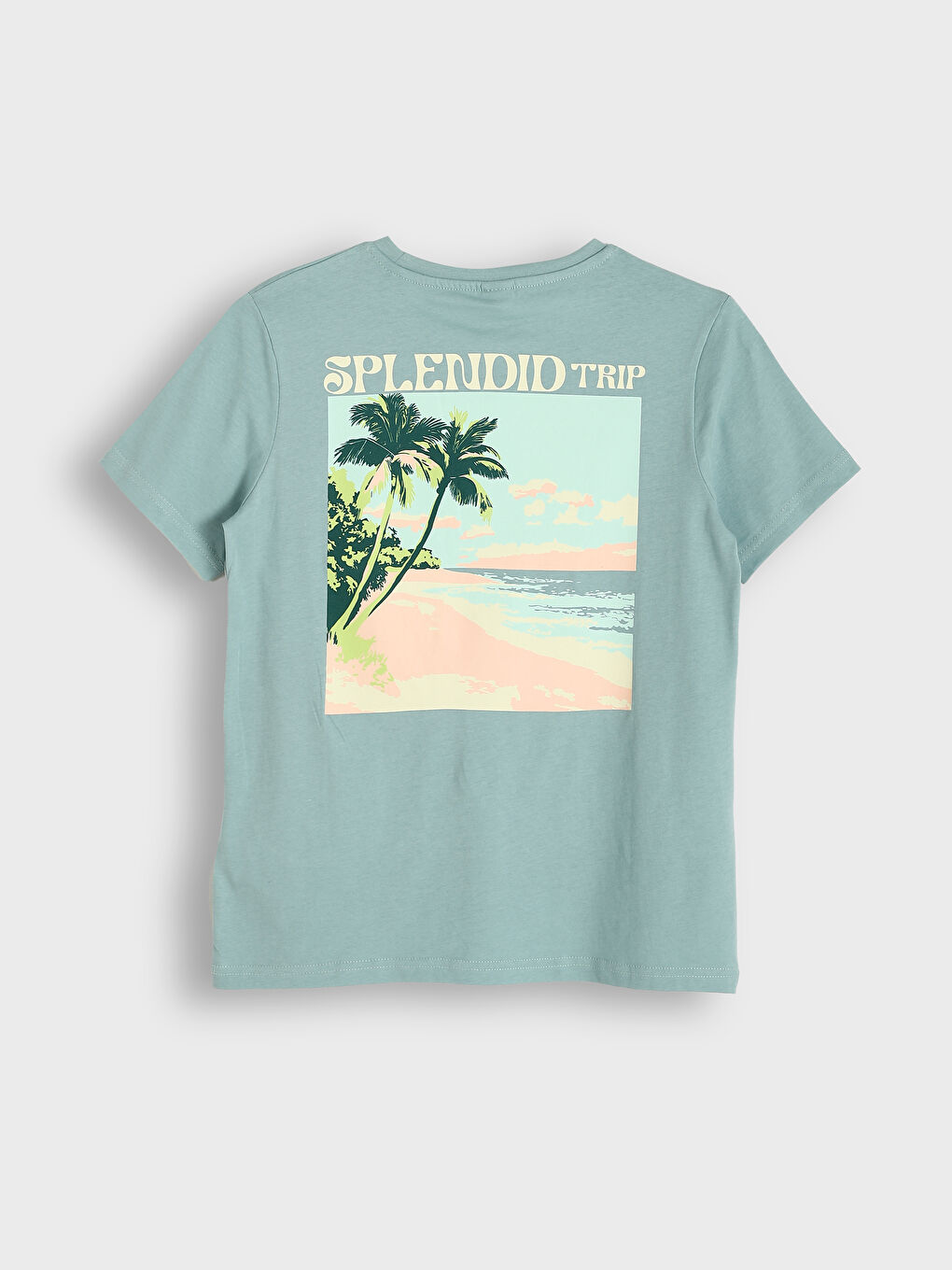 Crew Neck Printed Boys' T-Shirt-1