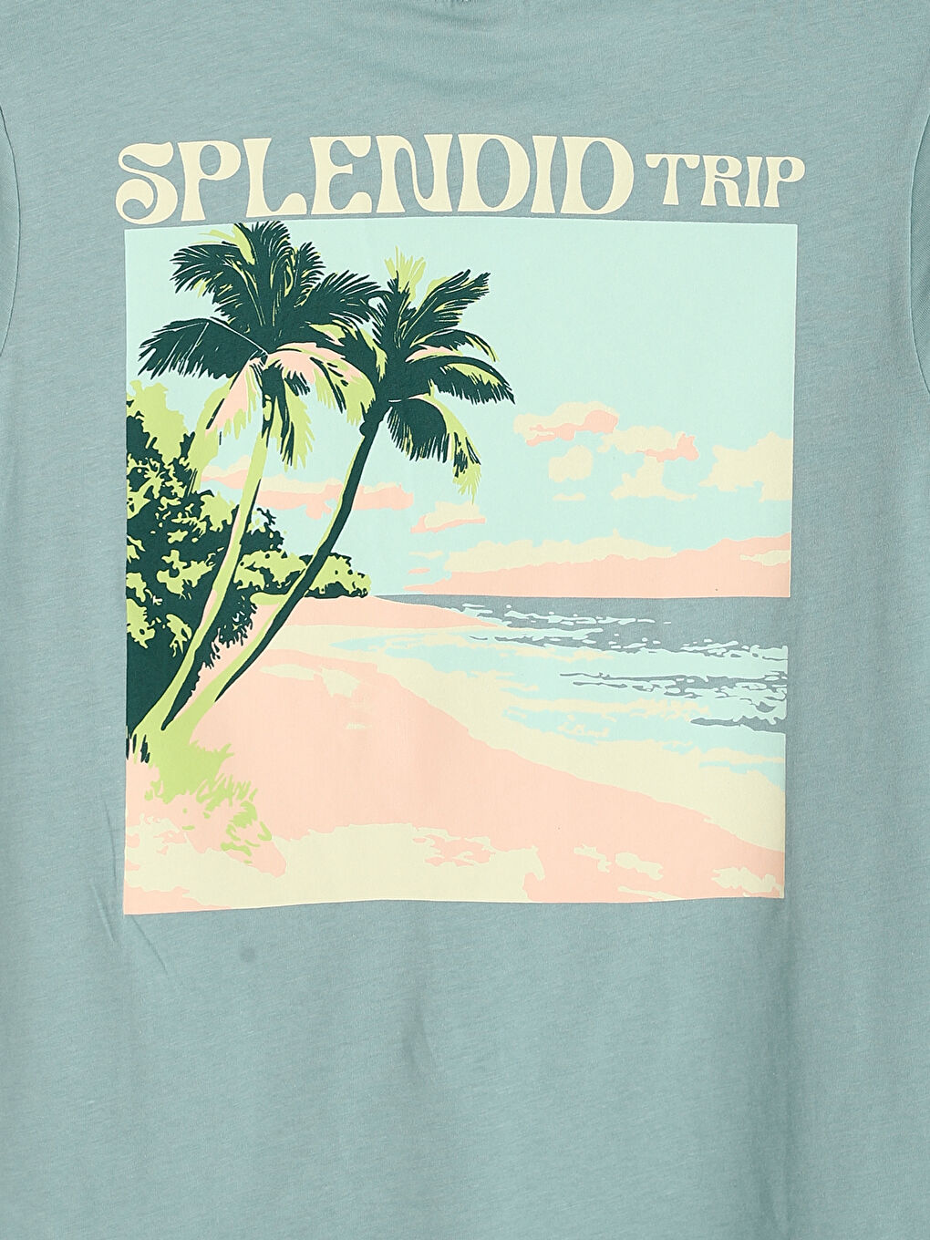 Crew Neck Printed Boys' T-Shirt-3