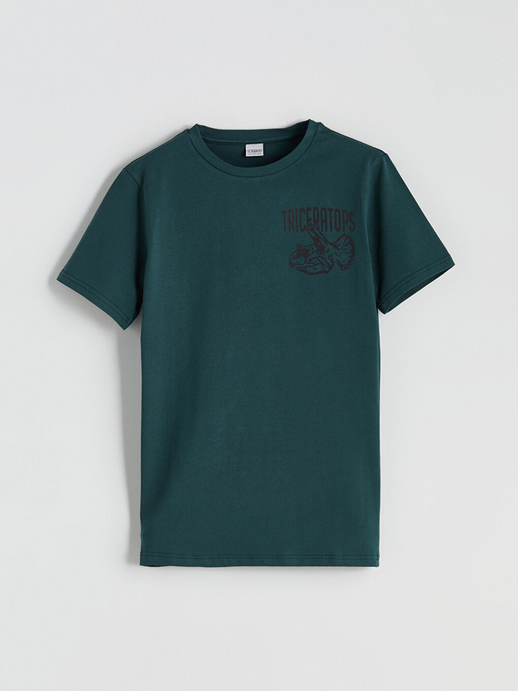 Crew Neck Printed Boys' T-Shirt