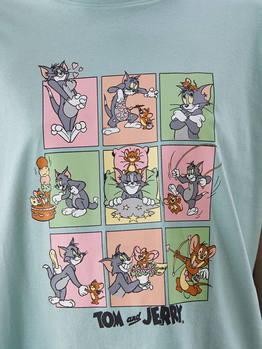LCW Comfort Crew Neck Tom & Jerry Printed Women's T-Shirt -S5HR89Z8-V6A
