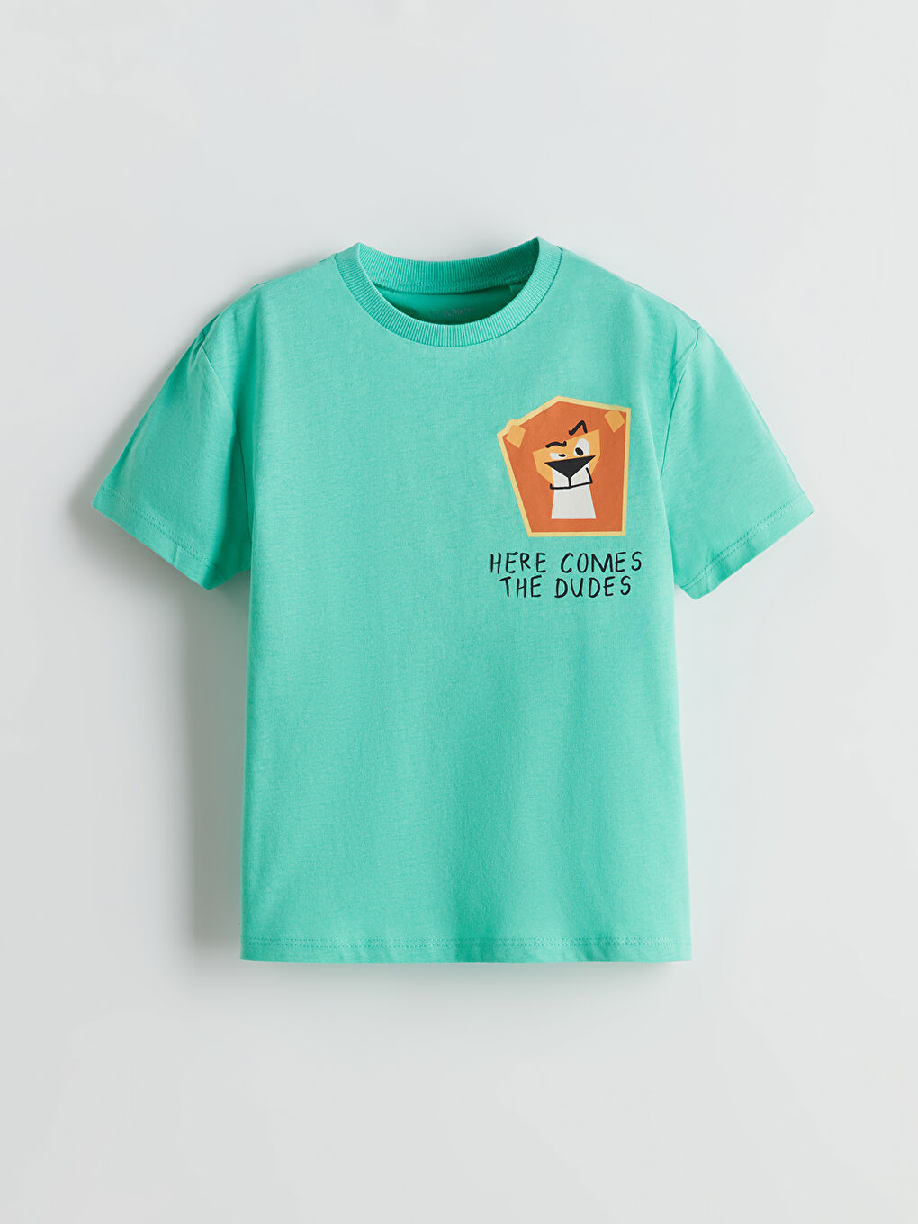 Crew Neck Printed Boys' T-Shirt