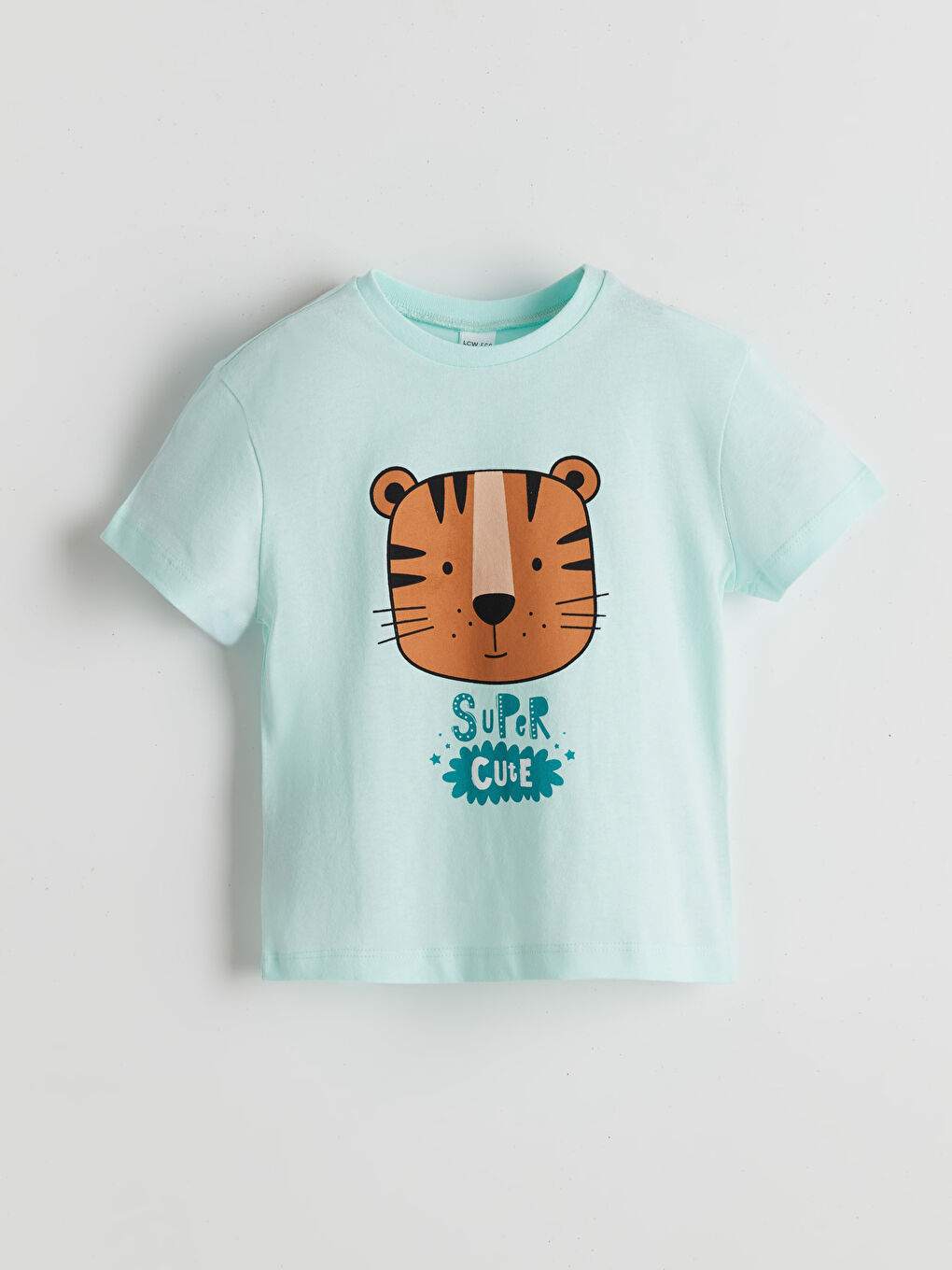 Turkuaz Sevimli Ayı Baskılı Erkek Çocuk Tişört