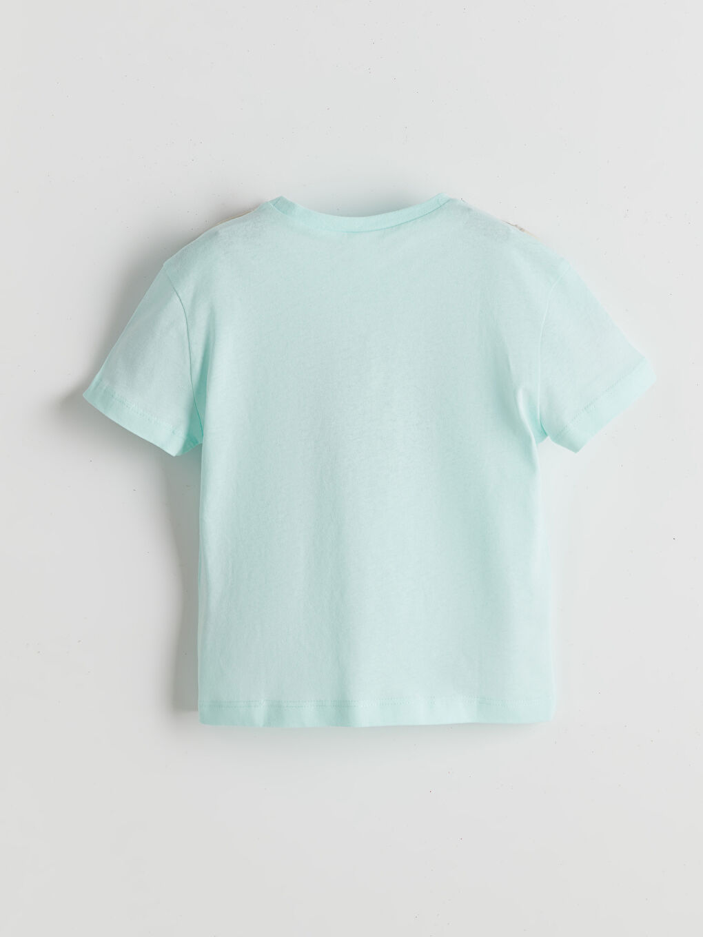 Turkuaz Sevimli Ayı Baskılı Erkek Çocuk Tişört-1